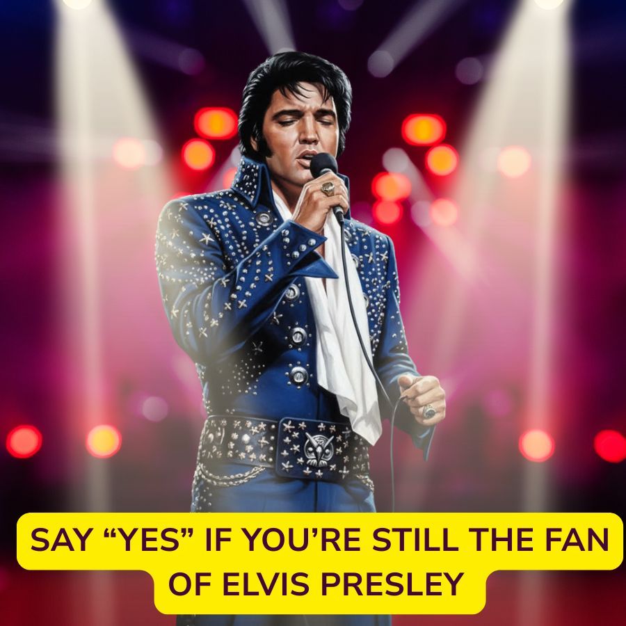 How Elvis Presley Turned Rock & Roll into a Global Cultural System